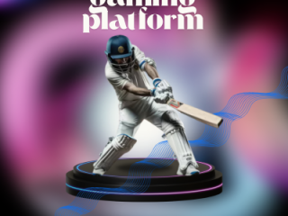 what-does-11xplay-online-offer-to-indian-users