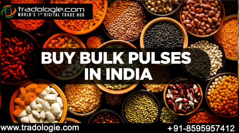 pulses-wholesalers-in-india-big-0