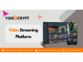 video-streaming-platform-evolution-vod-to-live-small-0