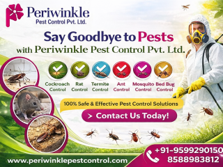 pest-control-near-me-expert-services-by-periwinkle-pest-control-pvt-ltd