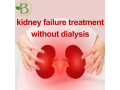 natural-treatment-for-chronic-kidney-disease-and-kidney-failure-without-dialysis-small-0