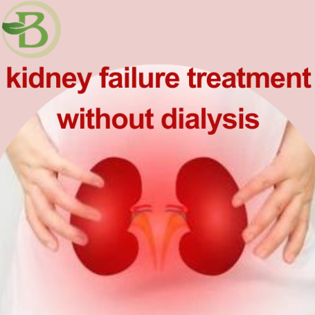 natural-treatment-for-chronic-kidney-disease-and-kidney-failure-without-dialysis-big-0