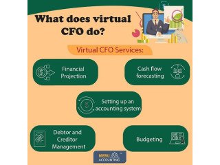 Outsource Virtual CFO Services with Meru Accounting