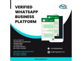 Whatsapp Business Platforms New Conversation-Based Pricing