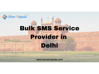 Bulk SMS Service Provider in Delhi | Try Free SMS Now