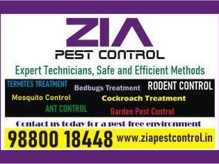 zia-pest-control-anti-termite-treatment-professional-pest-service-experts-321