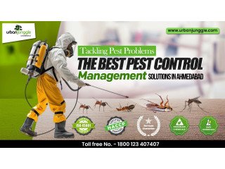 The Best Pest Control Management Solutions in Ahmedabad