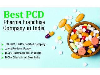 What Is PCD Pharma Franchise And What Are Its Scope
