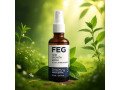 feg-plus-hair-growth-spray-price-in-pakistan-best-hair-regrowth-solution-03001819306-small-0