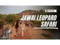 jawai-leopard-safari-small-0