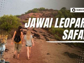 jawai-leopard-safari