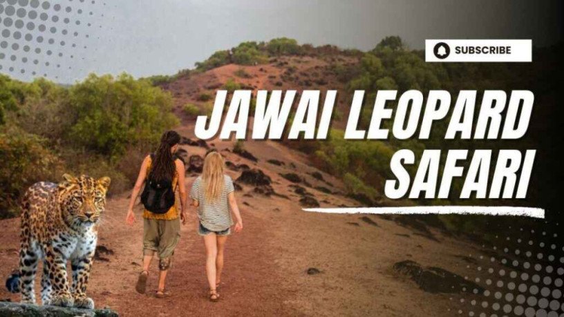 jawai-leopard-safari-big-0