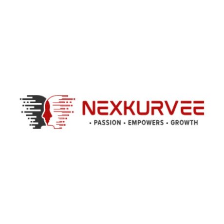 nexkurvee-premier-digital-marketing-agency-for-seo-smm-graphic-design-and-content-excellence-big-0