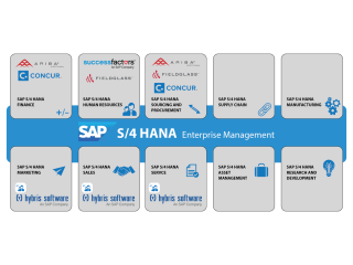 S 4 Hana Consulting Services