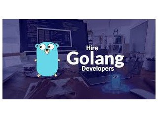 Top-notch Golang Development Services in Florida