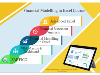 Financial Modeling Certification Course in Delhi.110018. Best Online Live Financial Analyst Training in Gurgaon by IIT Faculty , [ 100% Job in MNC]