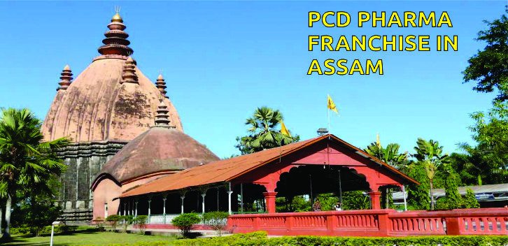 pcd-pharma-franchise-in-assam-big-0