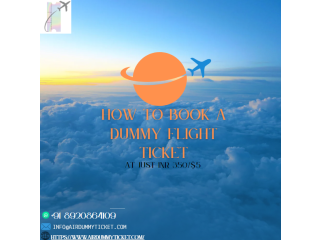 How to book a dummy flight ticket