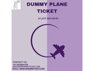 Dummy plane ticket