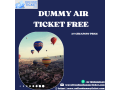 dummy-air-ticket-small-0