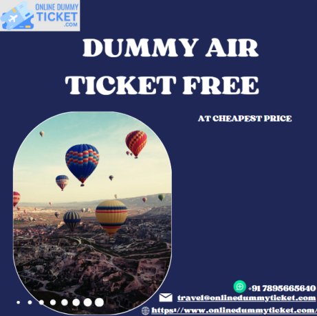 dummy-air-ticket-big-0