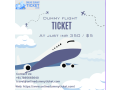 dummy-flight-ticket-small-0