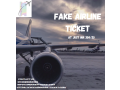 fake-airline-ticket-small-0