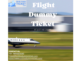 Flight Dummy Ticket