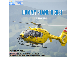 Dummy plane ticket