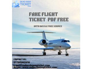 Fake flight ticket pdf free
