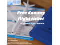 free-dummy-flight-ticket-small-0