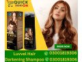 luvvel-hair-darkening-shampoo-price-in-gujranwala-cantonment-03001819306-small-0