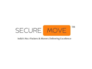 Secure Move: Well Known Packers And Movers In Delhi