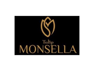 Modern Apartments for Sale in Tulip Monsella Sector 53