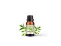 tea-tree-oil-small-1