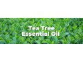 tea-tree-oil-small-0