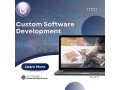 custom-web-application-development-service-small-0