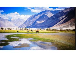 23 Leh Ladakh Tour Packages - Upto 30% OFF