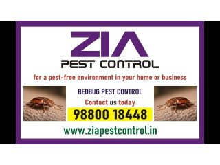 Zia Pest control | Bedbug Treatment | Rodent | 1981 Bedbugs service