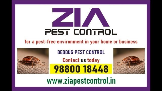 zia-pest-control-bedbug-treatment-rodent-1981-bedbugs-service-big-0