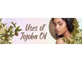 jojoba-oil-is-your-new-best-buddy-if-you-have-oily-skin-small-1