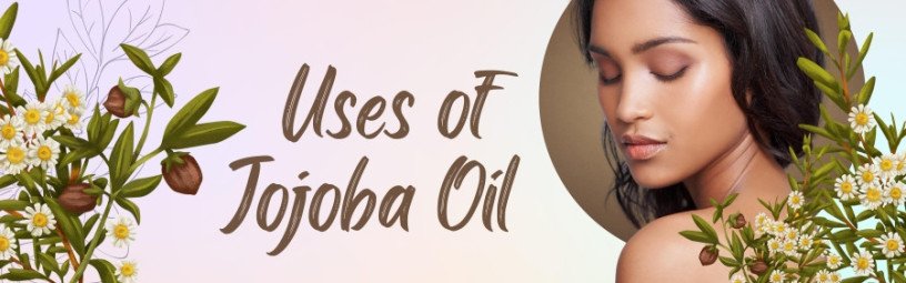 jojoba-oil-is-your-new-best-buddy-if-you-have-oily-skin-big-1