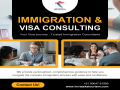 immigration-visa-consulting-small-0