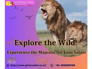 Book Your Gir Safari Tour and Explore Gir National Park!