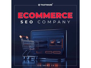 Elevate Your Online Store with ThatWare's Ecommerce SEO Expertise