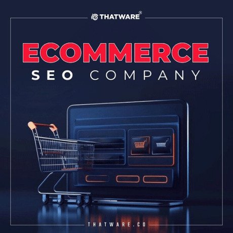 elevate-your-online-store-with-thatwares-ecommerce-seo-expertise-big-0