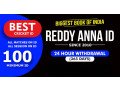 reddy-anna-club-the-ultimate-platform-for-passionate-cricket-fans-in-2024-small-0