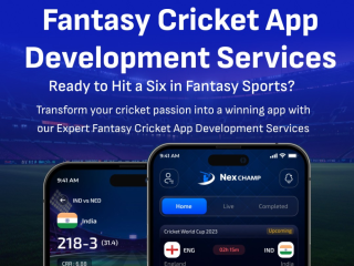 fantasy-cricket-app-development-company
