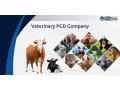 veterinary-pcd-company-leading-innovations-in-animal-health-small-0