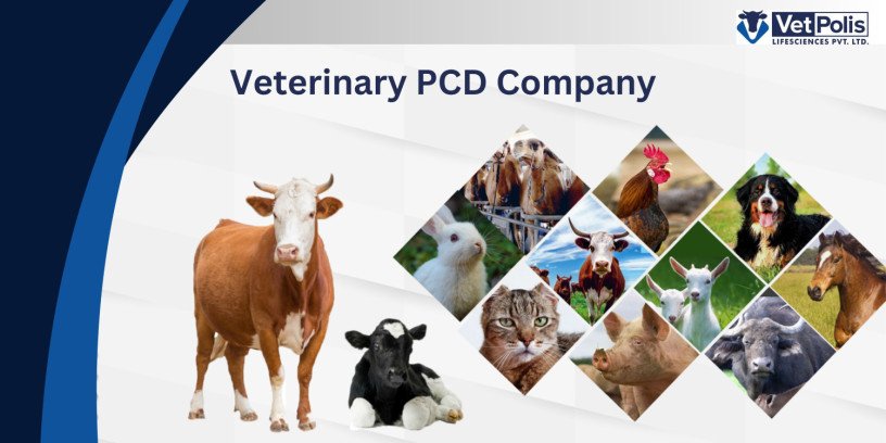 veterinary-pcd-company-leading-innovations-in-animal-health-big-0